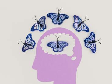 pexels-photo-8849272-8849272 Illustration of a Head and Butterflies Around the Scalp and Inside the Brain